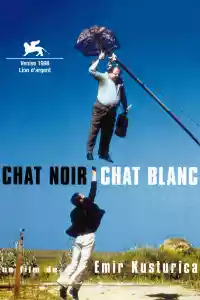 Affiche du film Chat noir, chat blanc