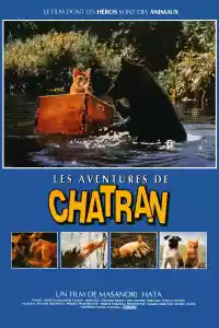 Affiche du film Les aventures de Chatran