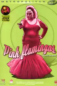 Jaquette : Pink Flamingos