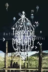 Affiche du film Tropical Malady