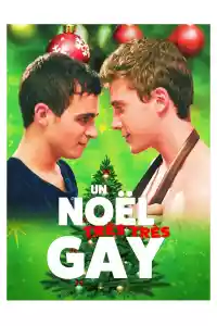 Affiche du film Un Noël très très gay