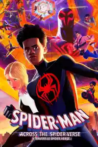 Jaquette : Spider-Man: Across the Spider-Verse