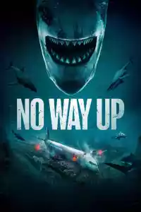 Jaquette : No Way Up