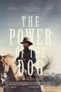 Affiche du film The Power of the Dog