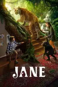 Affiche de la série Jane