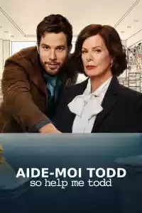 Affiche de la série So Help Me Todd