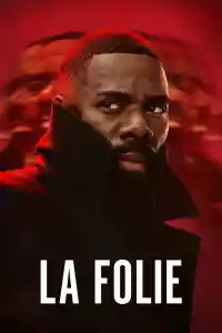 Affiche de la série The Madness