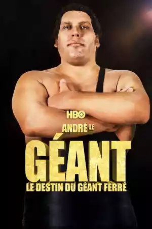 Jaquette du film André le géant : Le destin du géant ferré