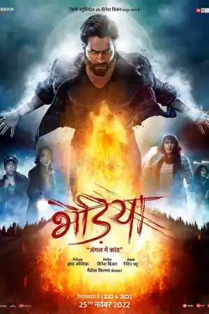 Jaquette du film Bhediya