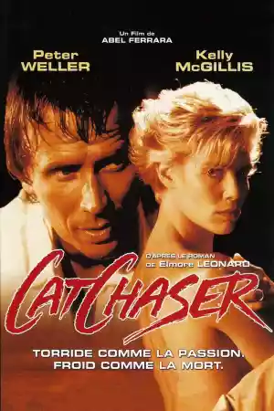 Affiche du film Cat Chaser