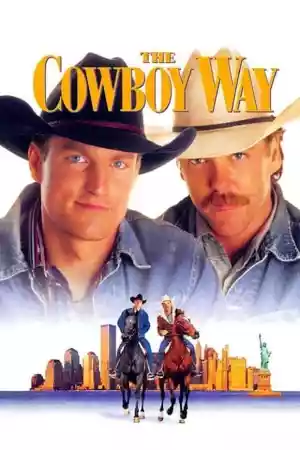 Affiche du film Deux Cowboys à New York