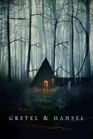 Jaquette du film Gretel & Hansel