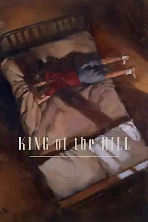 Jaquette du film King of the Hill