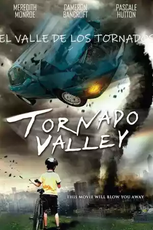 Jaquette du film La vallée des tempêtes