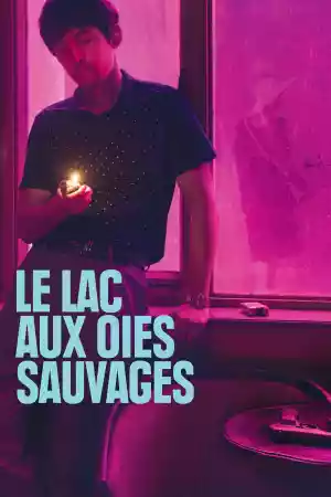 Jaquette du film Le lac aux oies sauvages