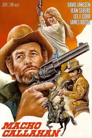 Jaquette du film Macho Callahan