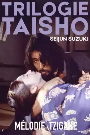 Jaquette du film Mélodie tzigane