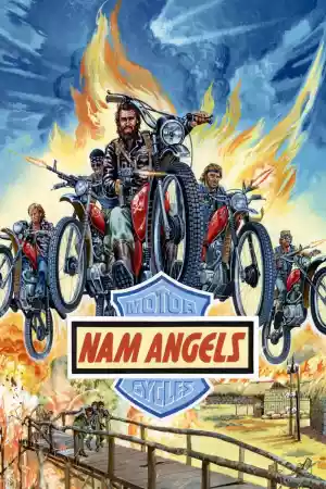 Jaquette du film Nam Angels