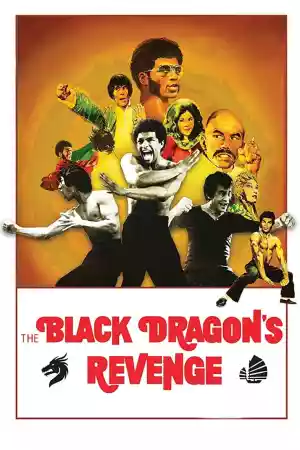 Jaquette du film On m'appelait Bruce Lee