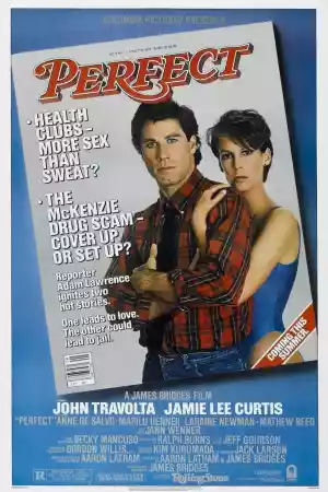 Jaquette du film Perfect