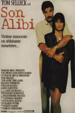Jaquette du film Son Alibi