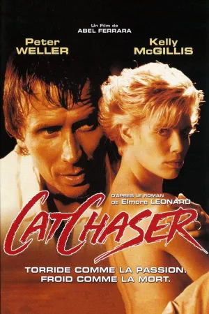 Jaquette : Cat Chaser