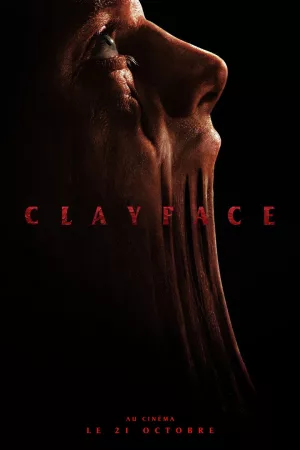 Jaquette : Clayface