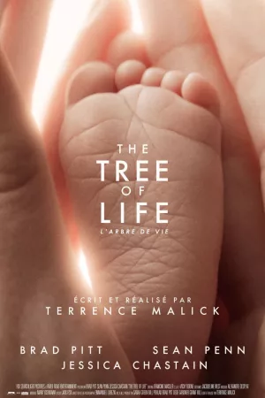 Jaquette : The Tree of Life, l'arbre de vie