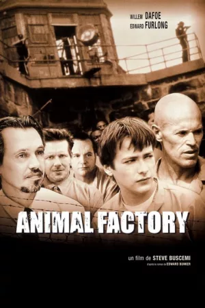 Jaquette : Animal Factory