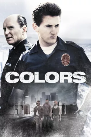 Jaquette : Colors