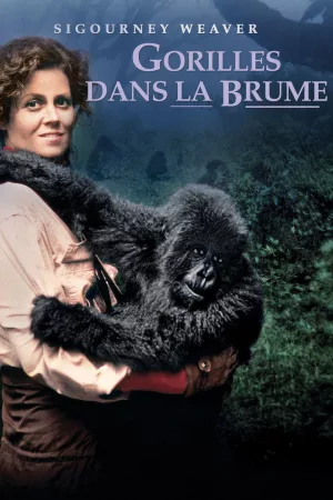 Jaquette : Gorilles dans la Brume