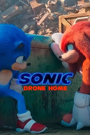 Jaquette : Sonic Drone Home