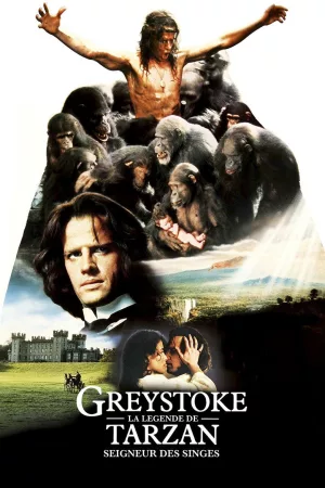 Jaquette : Greystoke, la légende de Tarzan