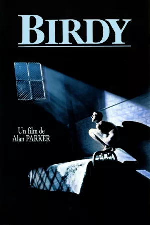 Jaquette : Birdy