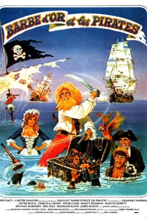 Jaquette : Barbe d'or et les pirates