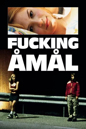 Jaquette : Fucking Åmål