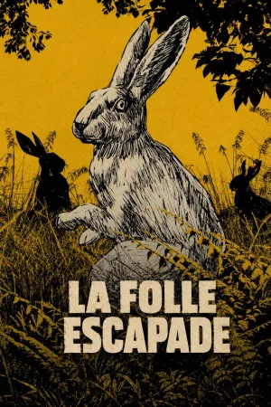 Jaquette : La folle escapade