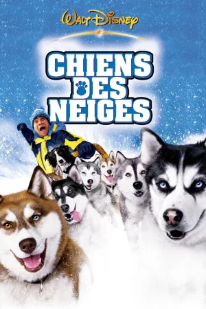 Jaquette : Chiens des neiges