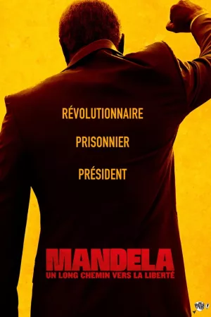 Jaquette : Mandela : Un long chemin vers la liberté