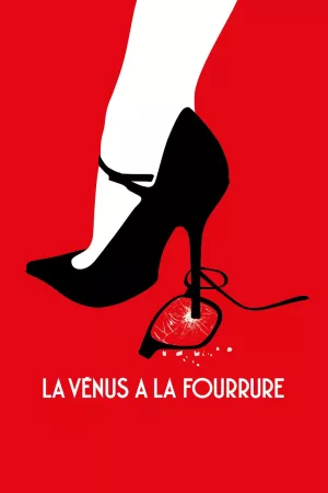 Jaquette : La Vénus à la fourrure
