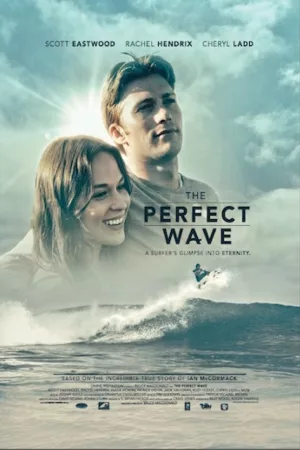 Jaquette : The Perfect Wave