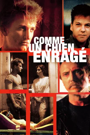 Jaquette : Comme un chien enragé