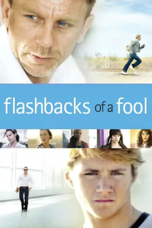 Jaquette : Flashbacks of a Fool