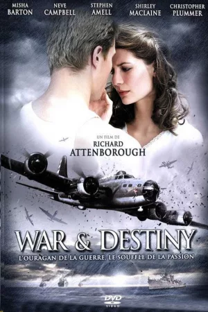 Jaquette : War And Destiny