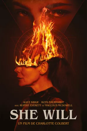 Jaquette : She Will