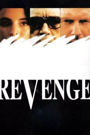 Jaquette : Vengeance
