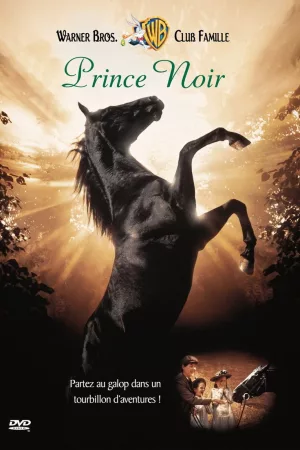 Jaquette : Prince noir