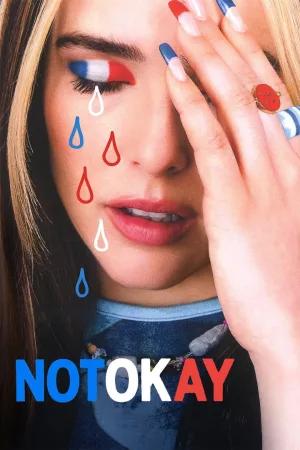 Jaquette : Not Okay
