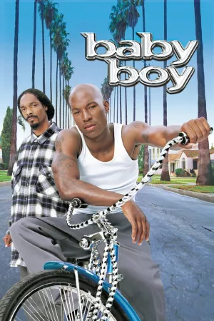 Jaquette : Baby Boy