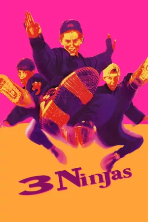 Jaquette : Ninja Kids : Les 3 Ninjas